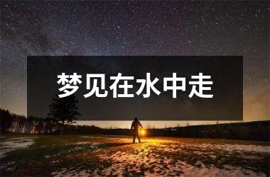 <h3>梦见在水中走