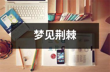<h3>梦见荆棘