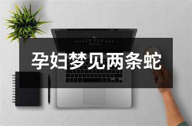 <h3>孕妇梦见两条蛇