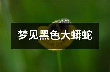 <h3>梦见黑色大蟒蛇
