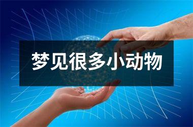 <h3>梦见很多小动物