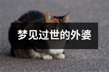 <h3>梦见过世的外婆