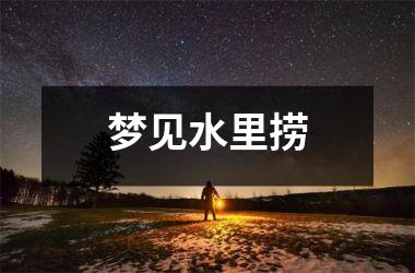<h3>梦见水里捞