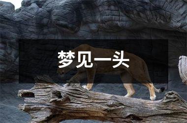 <h3>梦见一头