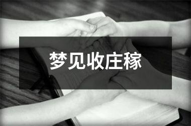 <h3>梦见收庄稼