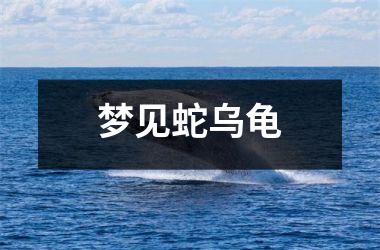 <h3>梦见蛇乌龟