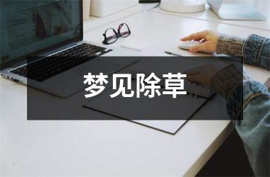 <h3>梦见除草