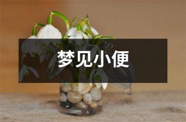 <h3>梦见小便