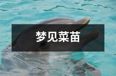 <h3>梦见菜苗