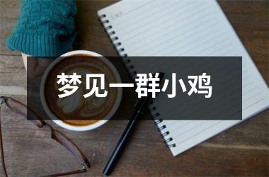 <h3>梦见一群小鸡
