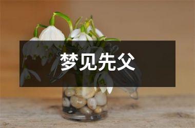 <h3>梦见先父