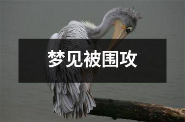 <h3>梦见被围攻