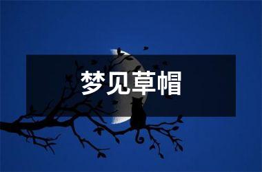<h3>梦见草帽