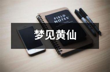 <h3>梦见黄仙