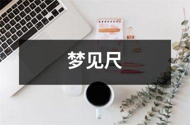 <h3>梦见尺
