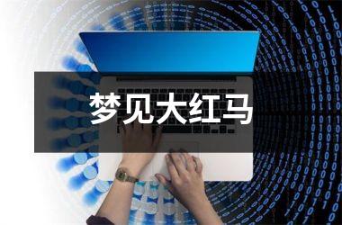 <h3>梦见大红马