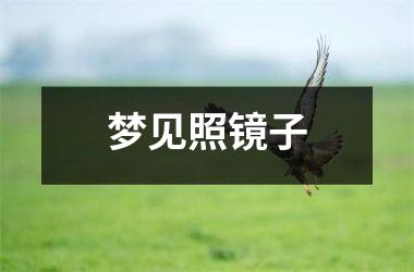 <h3>梦见照镜子