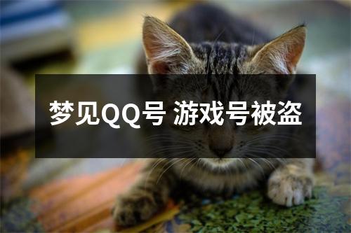 <h3>梦见QQ号游戏号被盗