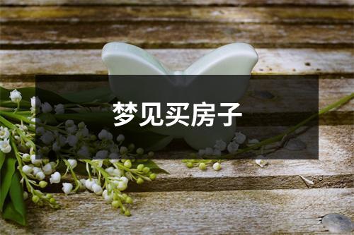 <h3>梦见买房子