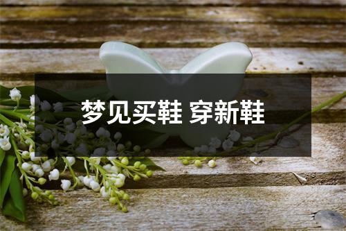 <h3>梦见买鞋穿新鞋