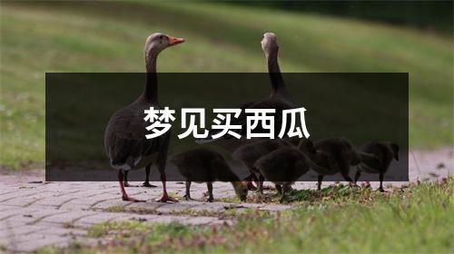 梦见买西瓜