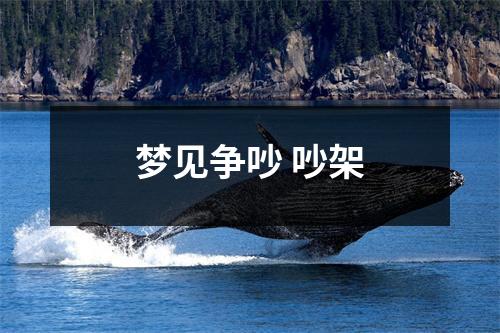 <h3>梦见争吵吵架