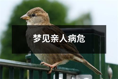 梦见亲人病危