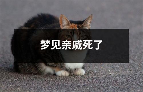 <h3>梦见亲戚死了
