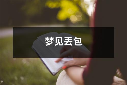 <h3>梦见丢包