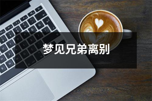 <h3>梦见兄弟离别