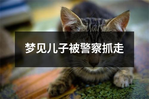 梦见儿子被警察抓走