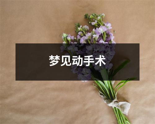 <h3>梦见动手术
