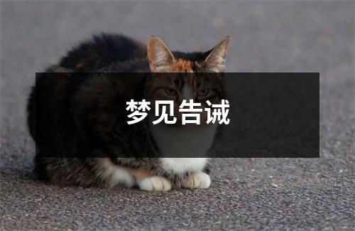 <h3>梦见告诫