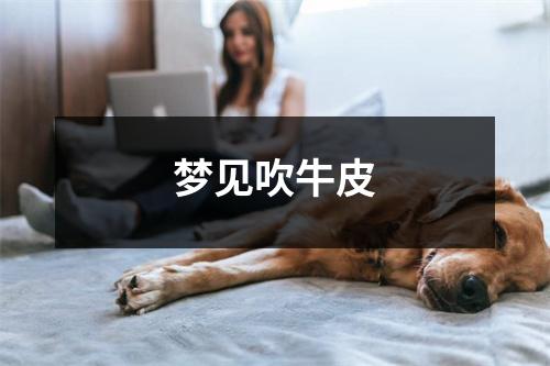 <h3>梦见吹牛皮
