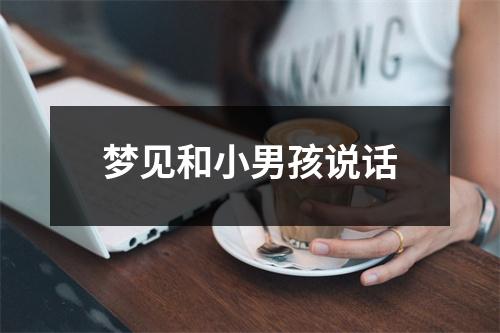<h3>梦见和小男孩说话