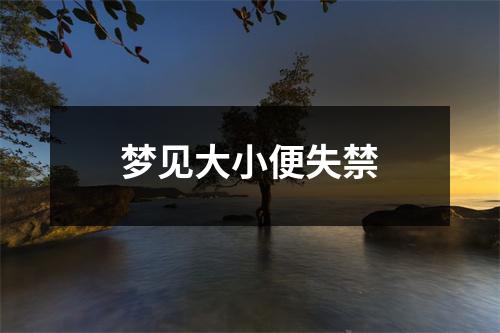 梦见大小便失禁