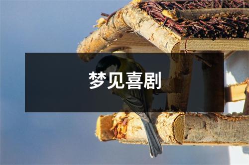 <h3>梦见喜剧