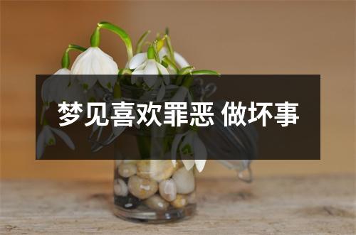 <h3>梦见喜欢罪恶做坏事
