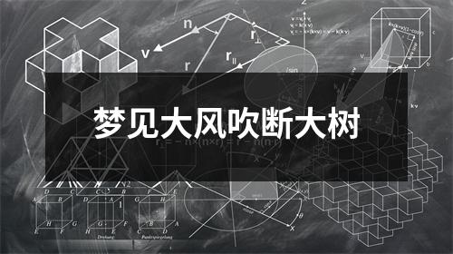 梦见大风吹断大树