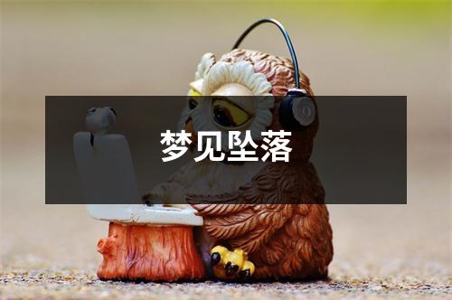 <h3>梦见坠落