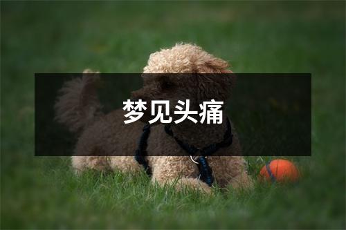 梦见头痛