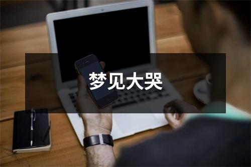 <h3>梦见大哭
