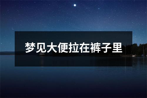 梦见大便拉在裤子里