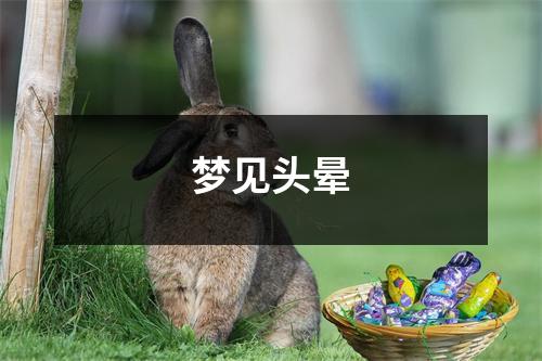 <h3>梦见头晕