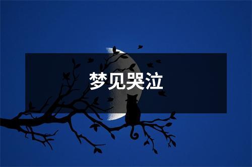 <h3>梦见哭泣