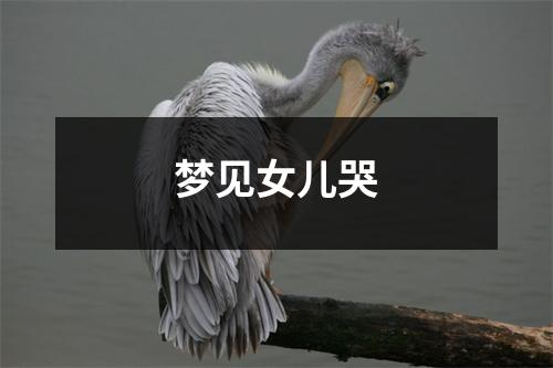 梦见女儿哭