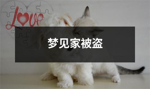 <h3>梦见家被盗