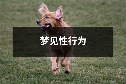 梦见性行为