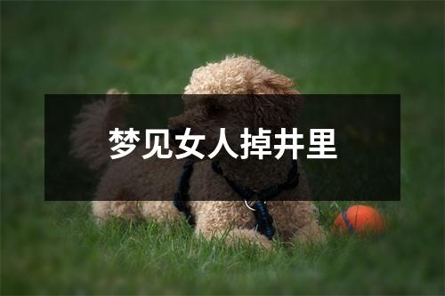 <h3>梦见女人掉井里