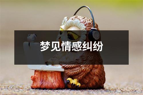 梦见情感纠纷